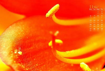 ​手机短信新年祝福语