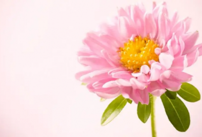 ​端午节搞笑祝福短信