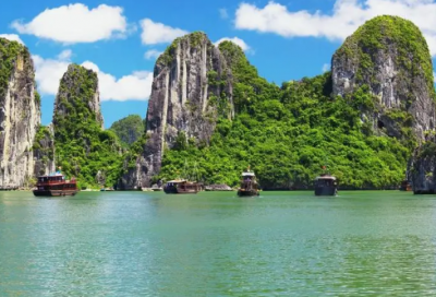 ​生日鲜花祝福语