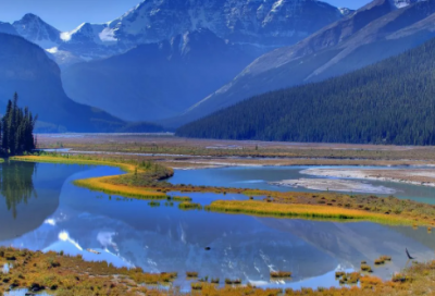 ​新年的祝福短信