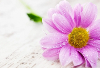 ​酒桌上的祝福语