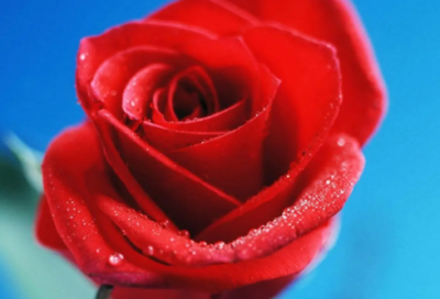 ​生子祝福短信