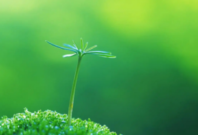 ​春节短信祝福