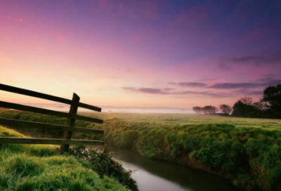 ​元旦的祝福短信