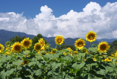 ​经典中秋祝福短信