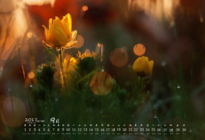 ​端午祝福短信