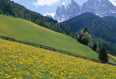 ​端午节日祝福短信