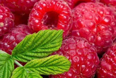 ​最新端午节祝福短信