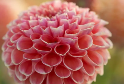 ​送给好朋友的祝福语