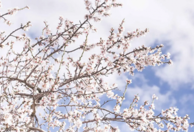 ​关于中秋的祝福短信