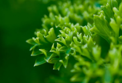 ​搞笑生日祝福语朋友