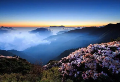 ​搞笑新年祝福