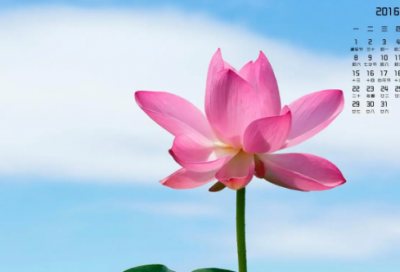 ​过年搞笑祝福短信