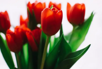 ​新年搞笑祝福短信