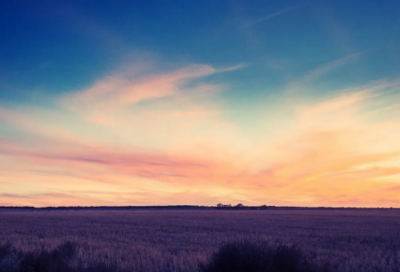 ​给领导送花祝福语