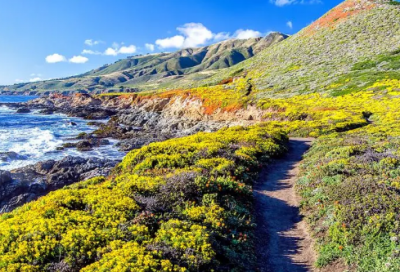 ​父亲节经典祝福语精选50句